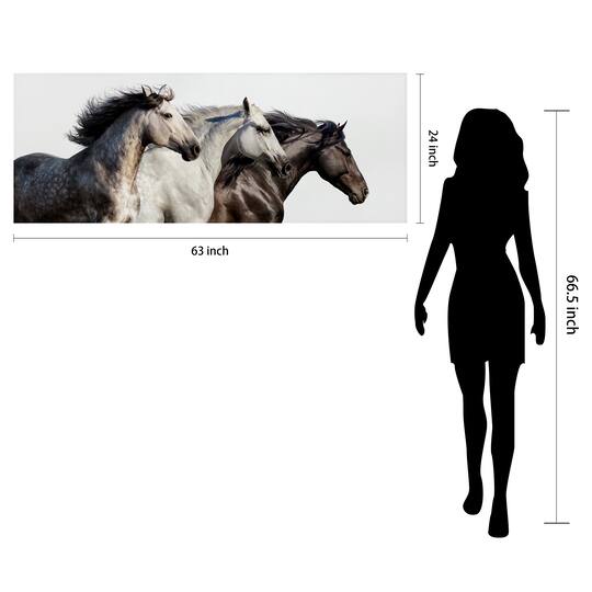 Empire Art Direct 63" x 24" Horse Trilogy 1 Frameless Free Floating Printed Tempered Glass Wall Art